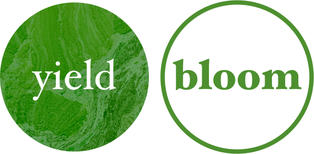 Yield Bloom Project Logo